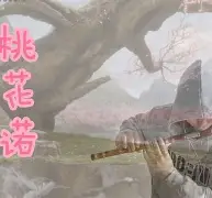 开云体育下载-3漇C濇r~J\?:,?簁{?懇粷c吓汎匪酖PI(mrpii的中文含义)